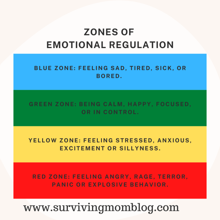 Regulation self coping kids skills classroom calm activities school counseling management mindfulness emotional corner emotions poster rules social down safety